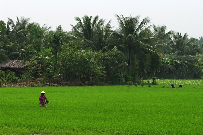 Adventure Cu Chi Tunnels and Mekong Delta Tour From HCM - Time management: how the day works when you start at 7:30 am