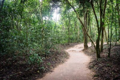 Afternoon Cu Chi Tunnels - Small Group Half-Day Tour - The ride out of Ho Chi Minh City (and why it matters)