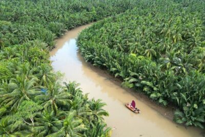 Ben Tre Mekong Zig Zag: Scooter, Sailboat, and Food (Full day) - Price and time value: what $59 buys in 6 to 7 hours