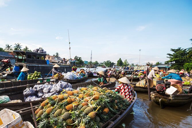 Cai Rang Floating Market & Mekong Delta 2-Day Tour from HCM City - Key things to know before you go