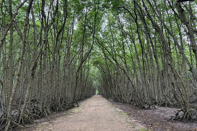 Can Gio Mangrove Adventure: Speedboat with Monkey Island - Lunch & Beach Time: Pool, Showers, and a Chance to Actually Relax