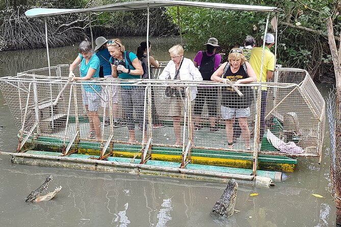 Can Gio Mangrove Adventure: Speedboat with Monkey Island - Wartime Context in a Mangrove World: How Rung Sac Fits In