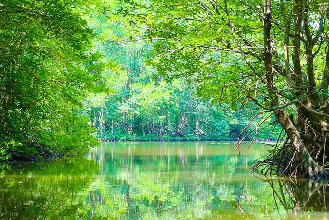 Can Gio Mangrove Forest 1 day tour - Key things you’ll notice on this Can Gio day trip