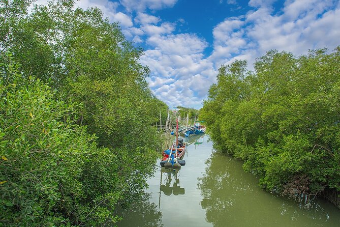 Can Gio Mangrove Forest 1 day tour - Getting there from District 1: pickup timing and the ride down