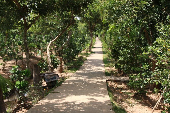 Essential Mekong Delta: Highlights Tour from Ho Chi Minh City - Vĩnh Tràng Pagoda: the triple-gate you’ll remember