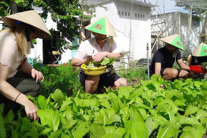 Explore Vietnamese Cuisine: Cooking Class from Ho Chi Minh City - Lunch you earn: sit down, taste, and go home with recipes