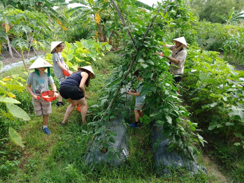Farm-To-Table Healthy Cooking Class: Half-Day Tour - Price and Logistics: What $70 Buys You (In Plain Terms)