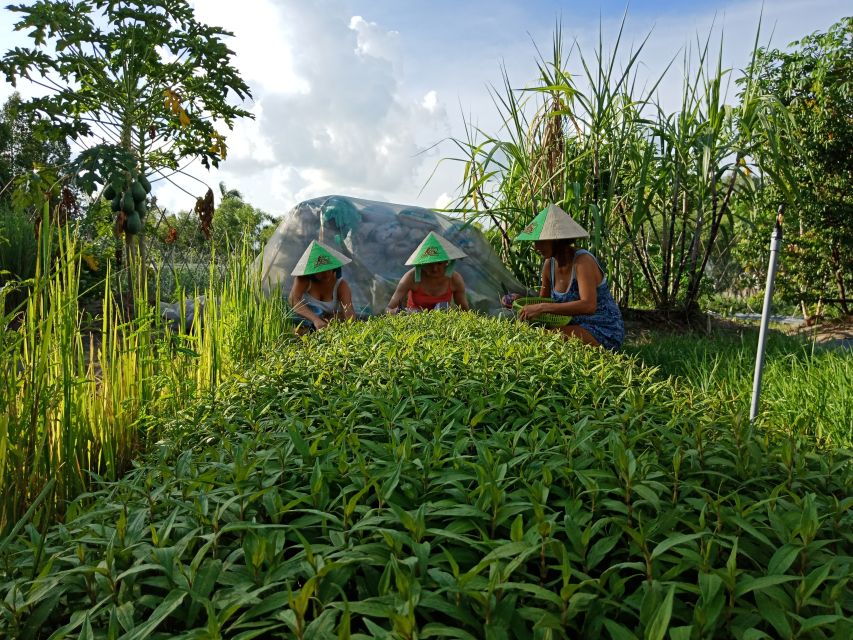 Farm-To-Table Healthy Cooking Class: Half-Day Tour - Mushroom House: Learning Varieties Before You Cook With Them