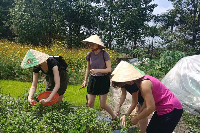 Farm-To-Table Healthy Cooking Class in Ho Chi Minh City - Four healthy dishes, taught one step at a time (and tasted immediately)