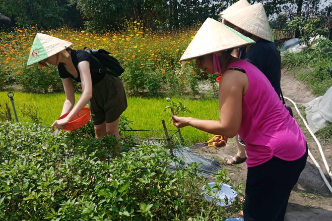 Farm-To-Table Healthy Cooking Class in Ho Chi Minh City - Price and value: is $67 reasonable for this format?
