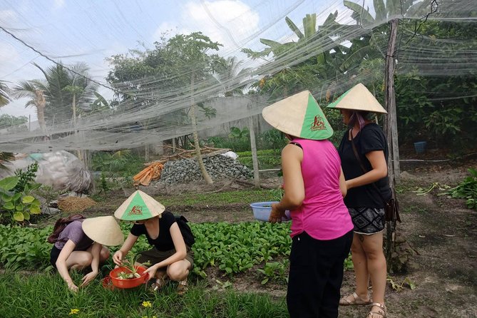 Farm-To-Table Healthy Cooking Class in Ho Chi Minh City - Small group, open-air setting: practical tips that help you enjoy more