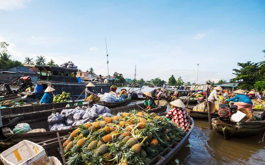 From HCM: Mekong Delta & Cai Rang Floating Market 2-Day Tour - Day 1: From District 1 to My Tho canals and Ben Tre rhythm