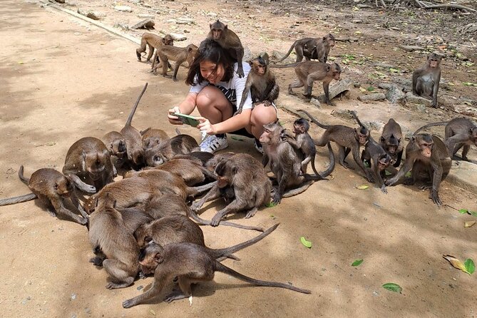 From Ho Chi Minh: Can Gio Trek – Monkey Island & Crocodile Farm - Monkey Island: up close with the cheeky locals