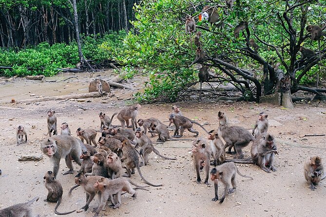 From Ho Chi Minh: Can Gio Trek – Monkey Island & Crocodile Farm - Rung Sac Military Base: war history inside a mangrove setting