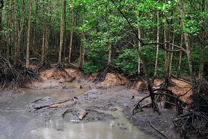 From Ho Chi Minh: Can Gio Trek – Monkey Island & Crocodile Farm - Crocodile viewing at the Hoa Ca stop: interesting, but don’t expect a long show