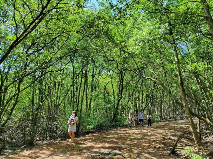 From Ho Chi Minh City: Can Gio Mangrove & Monkey Island Trek - Getting out of Ho Chi Minh City: ferry time and real mangrove country