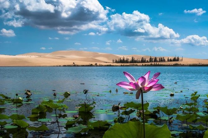 From Ho Chi Minh To Mui Ne Best Day Trip | Sunset Tour - How the Mũi Né day trip runs from District 1