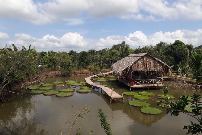 Full-day Cai Rang floating market - explore countryside, make bakery - from HCM - Leaving HCMC for Cai Rang: Timing, comfort, and the feel of the day