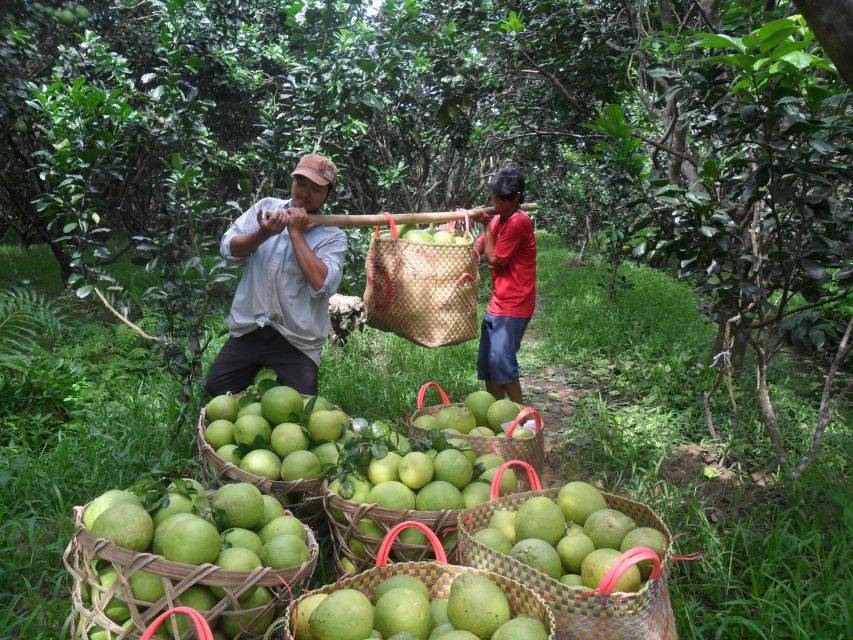 HCMC: Cai Rang Floating Market & Mekong Delta Private Tour - Bee farm time: honey tea, fruits, and village music