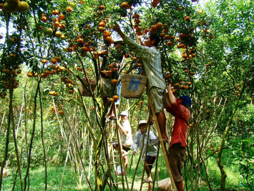 HCMC: Cai Rang Floating Market & Mekong Delta Private Tour - Lunch on a full day: fuel with vegan options