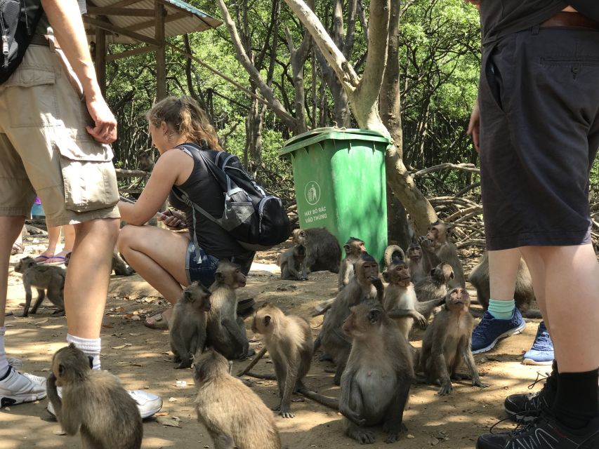 HCM:Can Gio Mangrove Forest Tour-Monkey Island - Who should book this Cần Giờ day trip (and who might not love it)