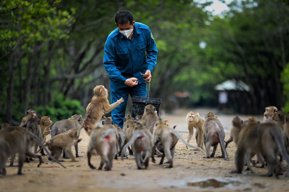 HCM:Can Gio Mangrove Forest Tour-Monkey Island - Getting to Cần Giờ: the early pickup and the drive that sets the tone