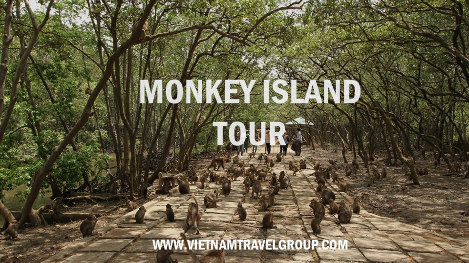 HCM:Can Gio Mangrove Forest Tour-Monkey Island - Crocodile farm: feeding sessions, close-up viewing, and what to expect