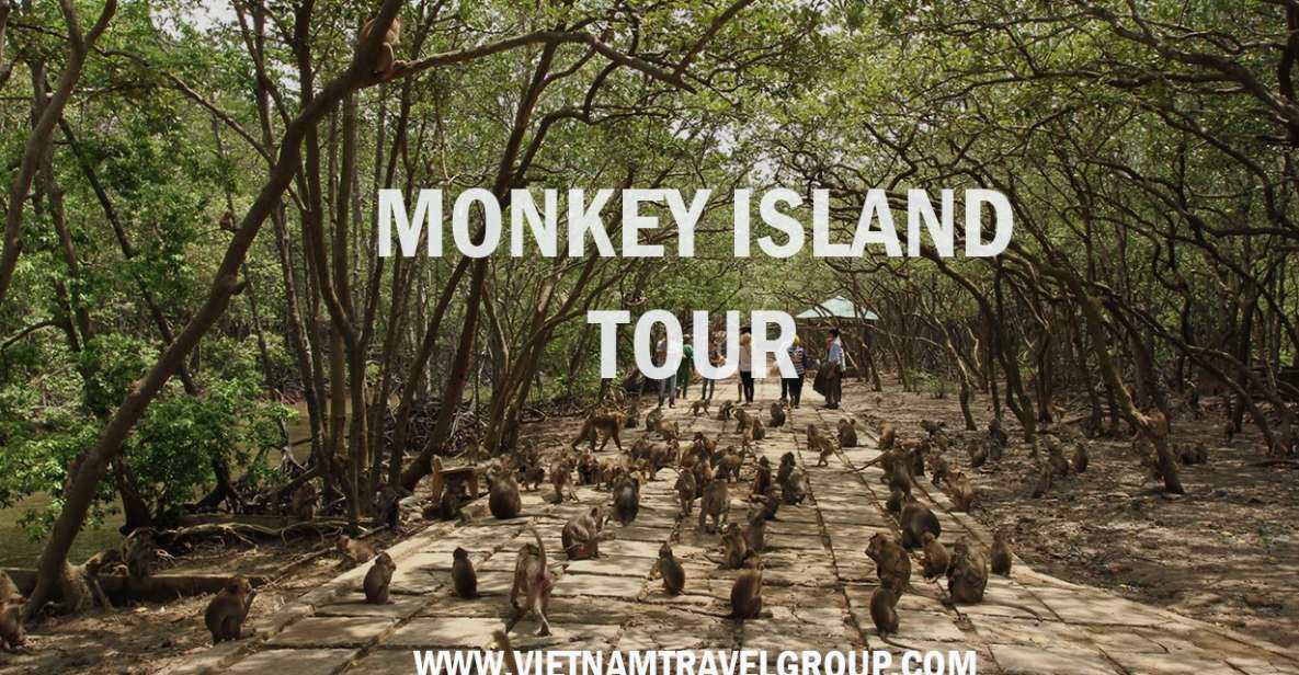 HCM:Can Gio Mangrove Forest Tour-Monkey Island - Monkey Island Cần Giờ: long-tailed macaques and the do-not-forget safety rules