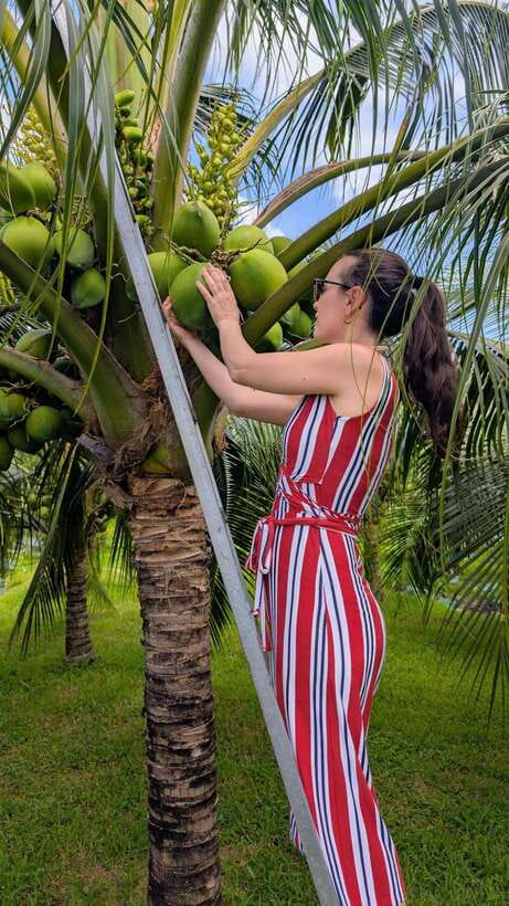Ho Chi Minh: 1-Day Mekong Delta Tour-Floating Market & Islet - Cồn Sơn Islet: fish farm and koi foot massage