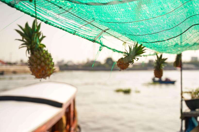 Ho Chi Minh: 3-Day Mekong Delta & Optional Exit to PhnomPenh - FAQ