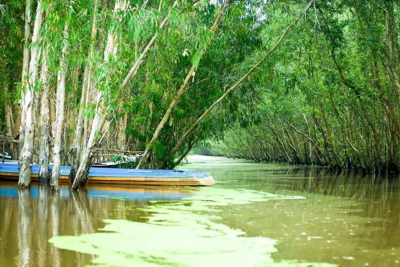 Ho Chi Minh: 3-Day Mekong Delta & Optional Exit to PhnomPenh - Who This Tour Fits Best (and Who Should Rethink It)