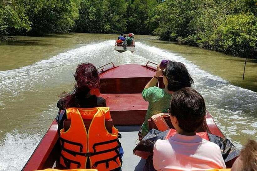 Ho Chi Minh: Can Gio Mangrove and Monkey Island - Key points I’d plan around