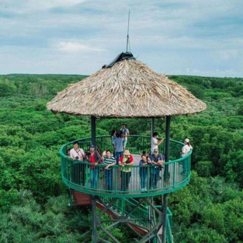 Ho Chi Minh: Can Gio Mangrove and Monkey Island - Can Gio Mangroves: Why This Day Trip Works