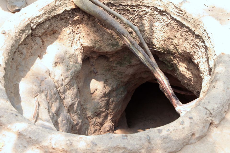 Ho Chi Minh City: Cu Chi Tunnels Morning or Afternoon Tour - Tea, Tapioca, and Cassava: The Food Stop That Makes It Human