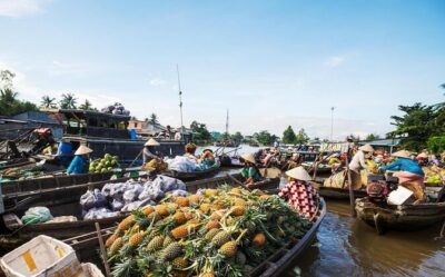 Mekong Delta & Cai Rang Floating Market 2-Day Tour from HCMC - Ben Tre coconut culture, fruit tasting, and the craft-village reality check