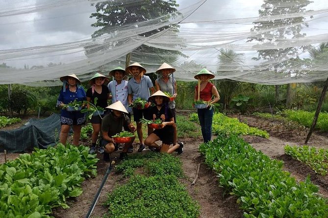 Unique farm to Table cooking class in Saigon - Harvesting Herbs, Mushrooms, and Fresh Greens You Actually Cook