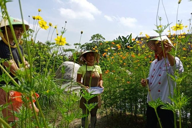 Unique farm to Table cooking class in Saigon - Price and Value in Saigon (Is $67 Reasonable?)