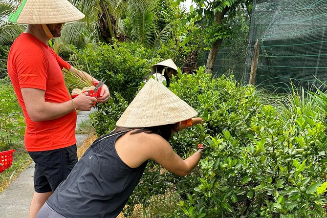 Unique Farm to Table Cooking Class with Top Chef in Vietnam - Taking it home: certificate, recipes, and a skill you can reuse