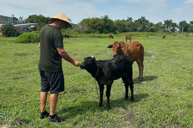 Unique Farm to Table Cooking Class with Top Chef in Vietnam - Practical planning tips for your day
