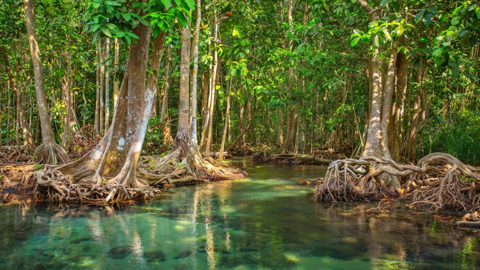 Vam Sat Mangrove Forest Private Tour from Ho Chi Minh City - Price and value: is $139 for 7 hours fair?