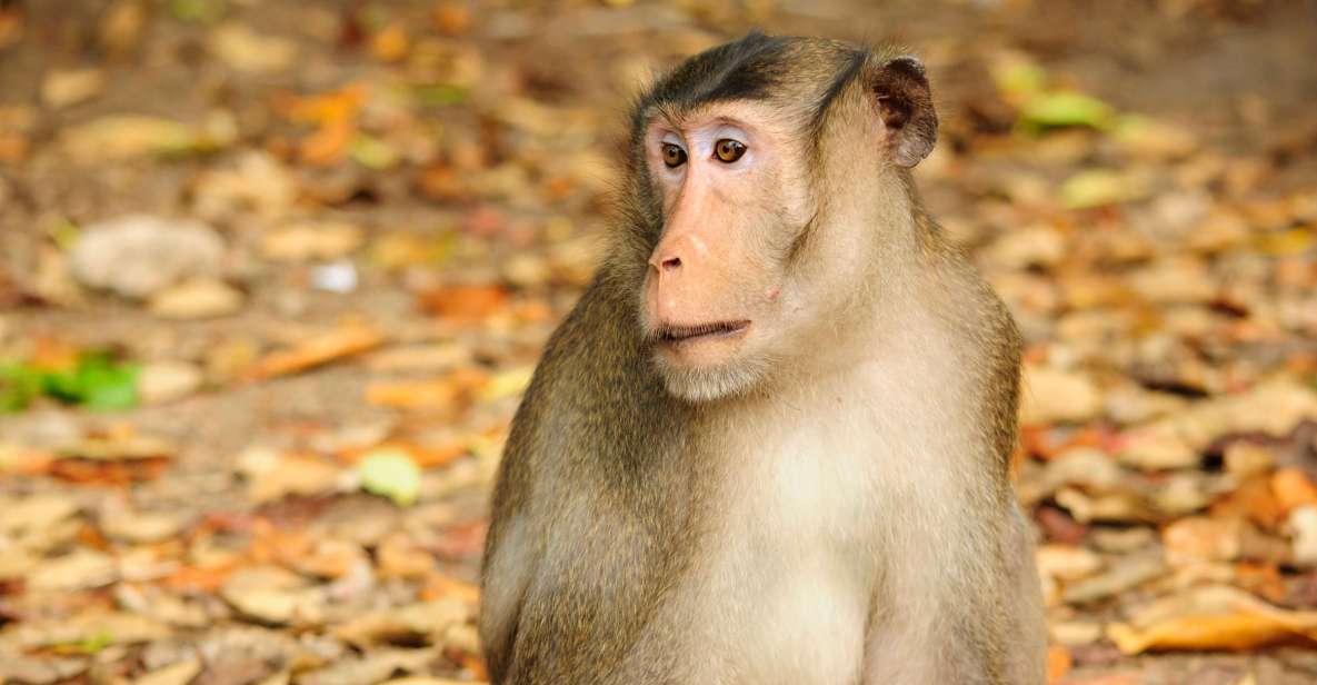 Vam Sat Mangrove Forest Private Tour from Ho Chi Minh City - Why Vam Sat feels a world away from Ho Chi Minh City