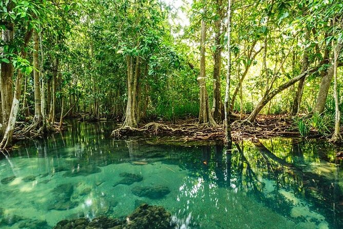 Vam Sat Mangrove Forest - VIP Private Tour - Bird sanctuary with 20,000 birds and 26 species