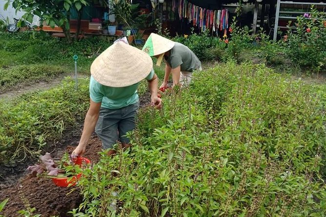 Vietnamese Cooking Class and Cu Chi Tunnels Tour from Ho Chi Minh City - Who should book this Cu Chi Tunnels and cooking combo?